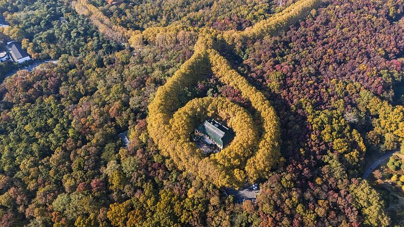 Meiling_Palace_Nanjings_Necklace_of_Nature_and_Architectural_Elegance - Khabar Asia Meiling Palace: Nanjing's Necklace of Nature and Architectural Elegance