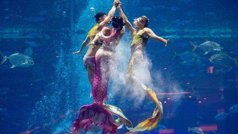 Mermaid_Magic_Unveiled_at_2024_China_Mermaid_Open_in_Sanya - Khabar Asia Mermaid_Magic_Unveiled_at_2024_China_Mermaid_Open_in_Sanya