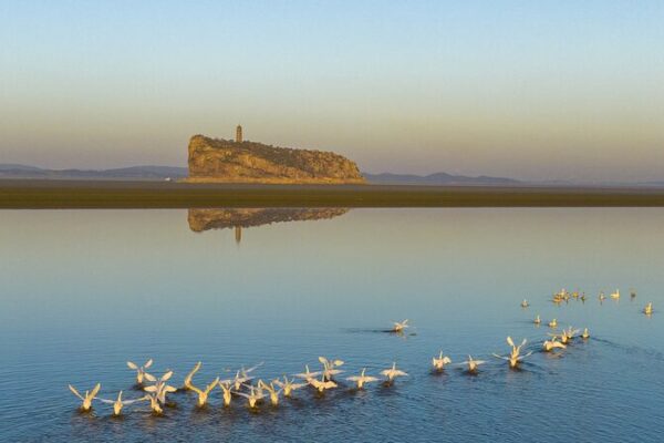 Mesmerizing Waves of Migratory Birds Enchant Poyang Lake in East China Mesmerizing_Waves_of_Migratory_Birds_Enchant_Poyang_Lake_in_East_China video poster
