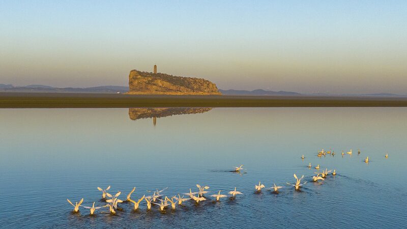Mesmerizing_Waves_of_Migratory_Birds_Enchant_Poyang_Lake_in_East_China_poster - Khabar Asia Mesmerizing_Waves_of_Migratory_Birds_Enchant_Poyang_Lake_in_East_China video poster