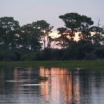 Methane_Surge_from_Tropical_Wetlands_Threatens_Global_Climate_Goals