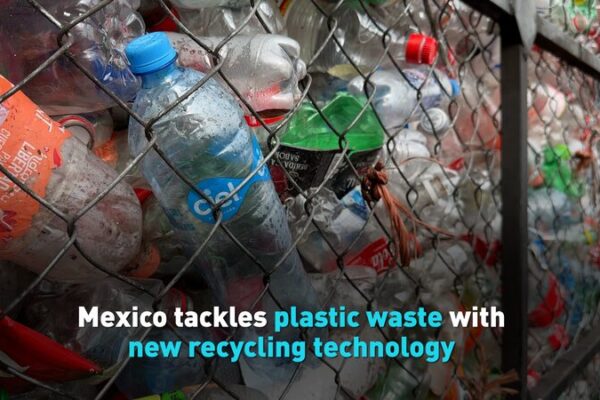 Mexico Innovates with New Recycling Technology to Tackle Plastic Waste Mexico_Innovates_with_New_Recycling_Technology_to_Tackle_Plastic_Waste video poster