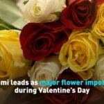Miami Leads as Major Flower Importer During Valentine's Day video poster