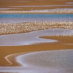 Migratory Birds Flock to Hebei Wetlands in China video poster