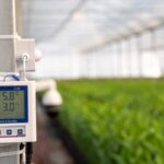 Modernized_Agriculture_Drives_Rural_Revitalization_in_China