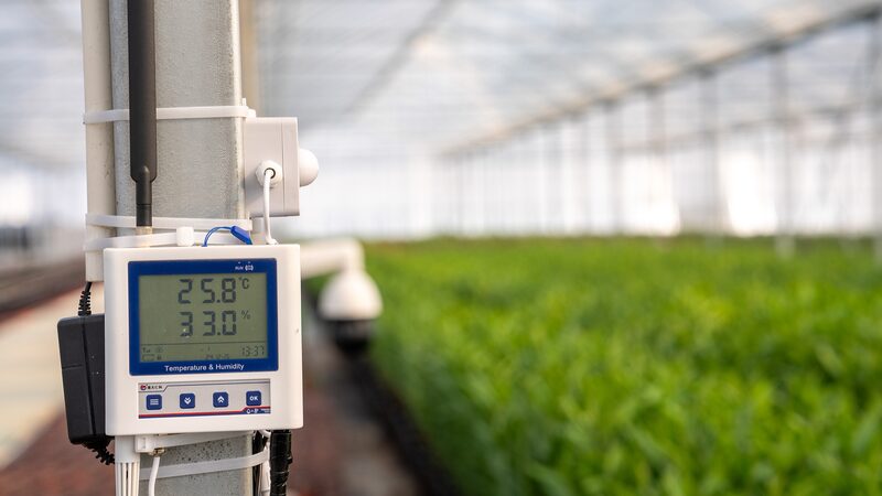 Modernized_Agriculture_Drives_Rural_Revitalization_in_China - Khabar Asia Modernized_Agriculture_Drives_Rural_Revitalization_in_China