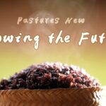 Mojiang's Purple Rice Revival: A Hani Farmer's Journey video poster