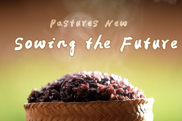 Mojiang’s Purple Rice Revival: A Hani Farmer’s Journey Mojiang's Purple Rice Revival: A Hani Farmer's Journey video poster