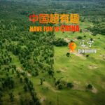 Mongolian_Scotch_Pine__Champion_of_China_s_Great_Green_Wall video poster
