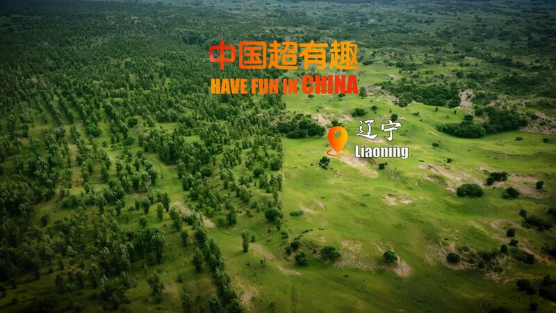 Mongolian_Scotch_Pine__Champion_of_China_s_Great_Green_Wall_poster - Khabar Asia Mongolian_Scotch_Pine__Champion_of_China_s_Great_Green_Wall video poster