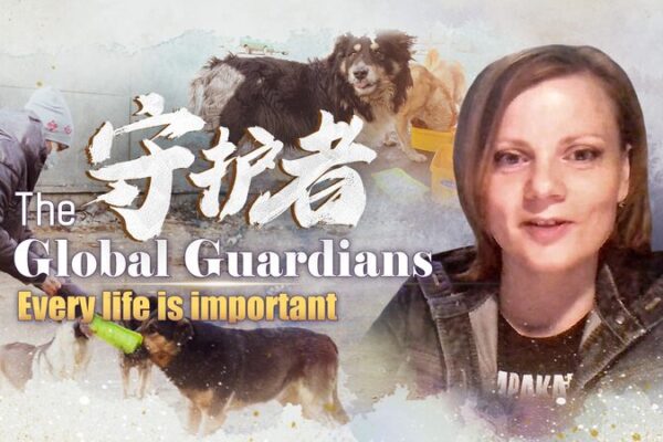 Moscow Journalist Unites Community to Save Stray Animals Post-Lockdown Moscow Journalist Unites Community to Save Stray Animals Post-Lockdown video poster