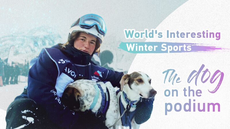 Musher_Cindy_Duport_Chases_Glory_at_Europes_Grand_Dog_Sledding_Event_poster - Khabar Asia Musher Cindy Duport Chases Glory at Europe's Grand Dog Sledding Event video poster