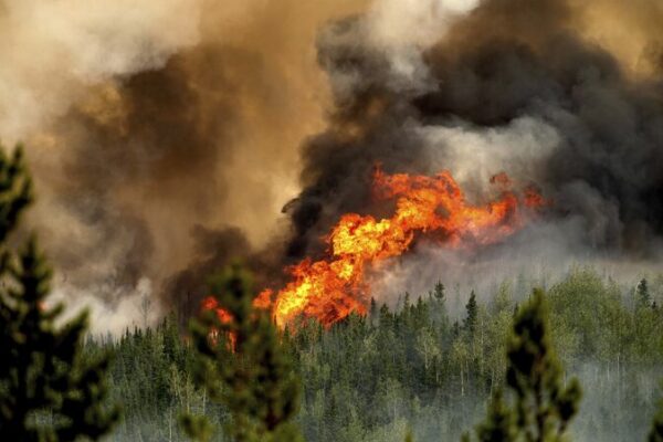 NASA Finds Canada’s 2023 Fires Emitted More Carbon Than Many Nations NASA_Finds_Canada_s_2023_Fires_Emitted_More_Carbon_Than_Many_Nations