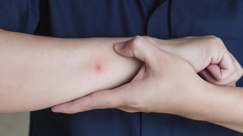 NYC_Launches_Mosquito_Spraying_Amid_West_Nile_Virus_Concerns