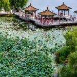 Nanhu_Lake_Park__Changchun_s_Natural_Oasis_in_the_Heart_of_the_City video poster