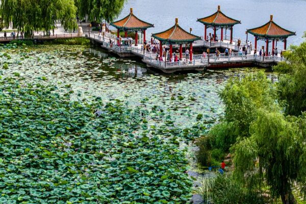 Nanhu_Lake_Park__Changchun_s_Natural_Oasis_in_the_Heart_of_the_City video poster