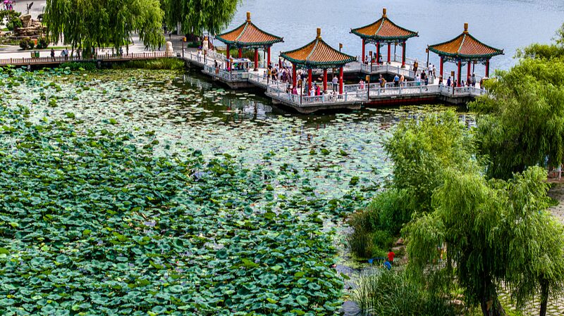 Nanhu_Lake_Park__Changchun_s_Natural_Oasis_in_the_Heart_of_the_City_poster - Khabar Asia Nanhu_Lake_Park__Changchun_s_Natural_Oasis_in_the_Heart_of_the_City video poster