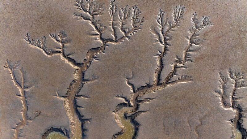 Natural_Tidal_Trees_Reveal_Themselves_in_Jiangsus_Tiaozini_Wetland - Khabar Asia Natural 'Tidal Trees' Reveal Themselves in Jiangsu's Tiaozini Wetland