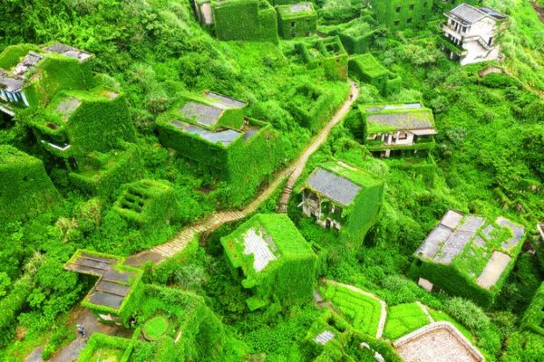 Nature Reclaims Houtouwan: The Abandoned Village Overtaken by Greenery Nature Reclaims Houtouwan: The Abandoned Village Overtaken by Greenery