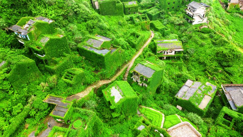 Nature_Reclaims_Houtouwan_The_Abandoned_Village_Overtaken_by_Greenery - Khabar Asia Nature Reclaims Houtouwan: The Abandoned Village Overtaken by Greenery