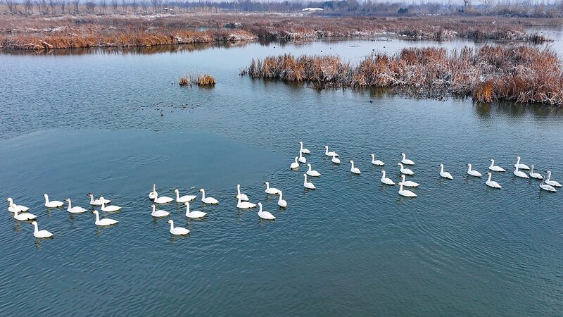 Nature_Reserves_in_China_and_France_See_Surge_in_Wildlife_Species - Khabar Asia Nature Reserves in China and France See Surge in Wildlife Species