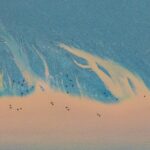 Nature_s_Dance__Birds_Soar_Above_Qiantang_River_s_Tides_in_Zhejiang