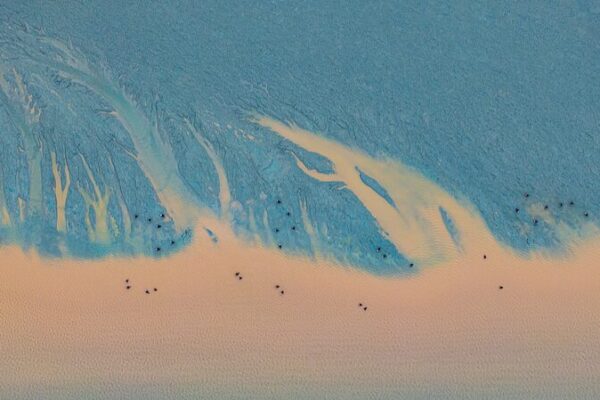 Nature’s Dance: Birds Soar Above Qiantang River’s Tides in Zhejiang Nature_s_Dance__Birds_Soar_Above_Qiantang_River_s_Tides_in_Zhejiang