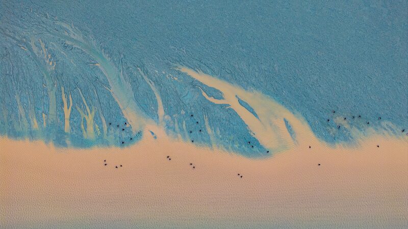 Nature_s_Dance__Birds_Soar_Above_Qiantang_River_s_Tides_in_Zhejiang - Khabar Asia Nature_s_Dance__Birds_Soar_Above_Qiantang_River_s_Tides_in_Zhejiang