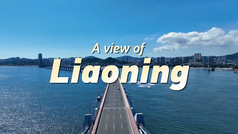 Nature_s_Embrace__Liaoning_Province_s_Journey_Toward_Innovation_and_Grace video poster