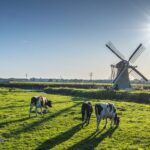 Netherlands_and_China_Set_to_Boost_Agricultural_Cooperation