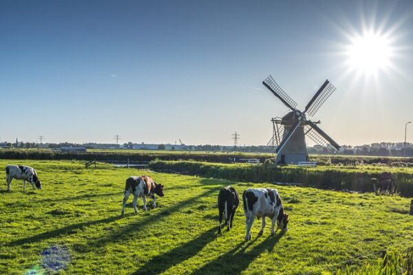 Netherlands and China Set to Boost Agricultural Cooperation Netherlands_and_China_Set_to_Boost_Agricultural_Cooperation