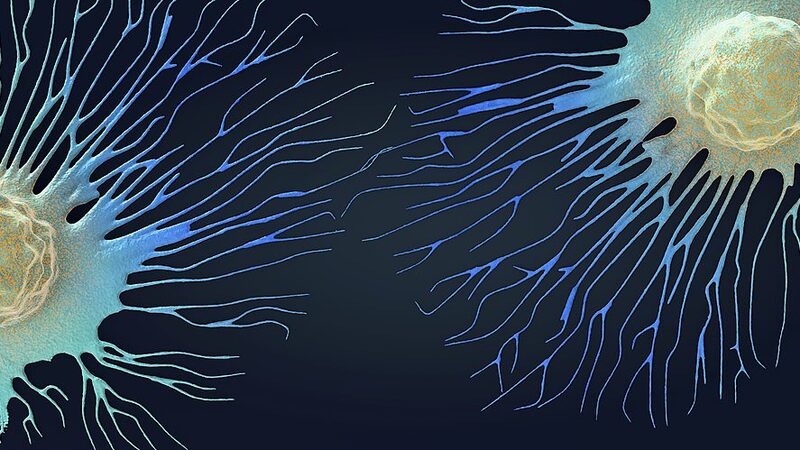 New_Antibody_Treatment_Enhances_Immune_Response_Against_Tumors__Study_Finds - Khabar Asia New_Antibody_Treatment_Enhances_Immune_Response_Against_Tumors__Study_Finds