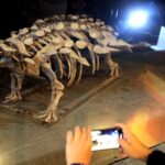 New Armored Dinosaur Species Unearthed in East China