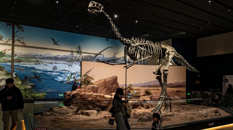 New_Paleozoological_Museum_in_Baoding_Unveils_Ancient_Wonders - Khabar Asia New Paleozoological Museum in Baoding Unveils Ancient Wonders