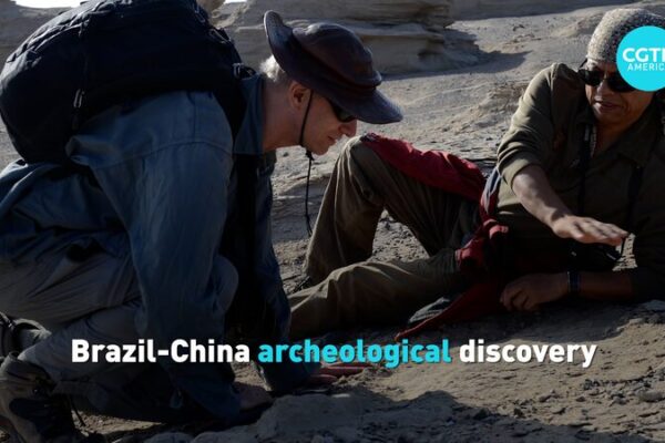 New Pterosaur Species Discovered Through Brazil-China Scientific Collaboration New Pterosaur Species Discovered Through Brazil-China Scientific Collaboration video poster