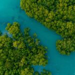 New Report Urges Stronger China-EU Cooperation on Environment and Climate