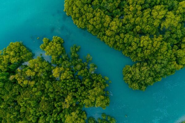 New Report Urges Stronger China-EU Cooperation on Environment and Climate New Report Urges Stronger China-EU Cooperation on Environment and Climate