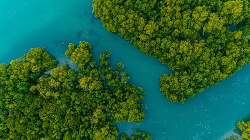 New Report Urges Stronger China-EU Cooperation on Environment and Climate