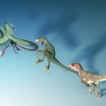 New Study Reveals Birds Began Evolving Long Before Dinosaurs' Extinction