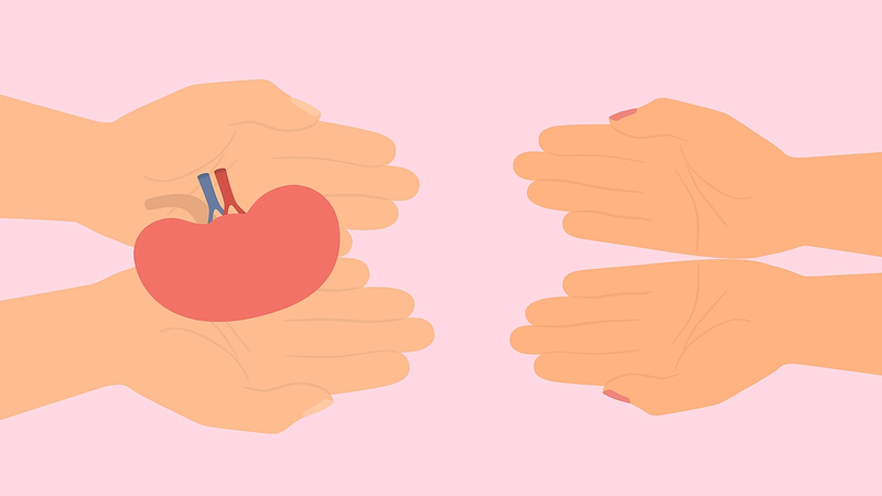 New_Study_Shows_HIV_Positive_Kidney_Transplants_Safe - Khabar Asia New_Study_Shows_HIV_Positive_Kidney_Transplants_Safe