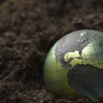 New Study Unveils Massive Global Store of Soil Inorganic Carbon