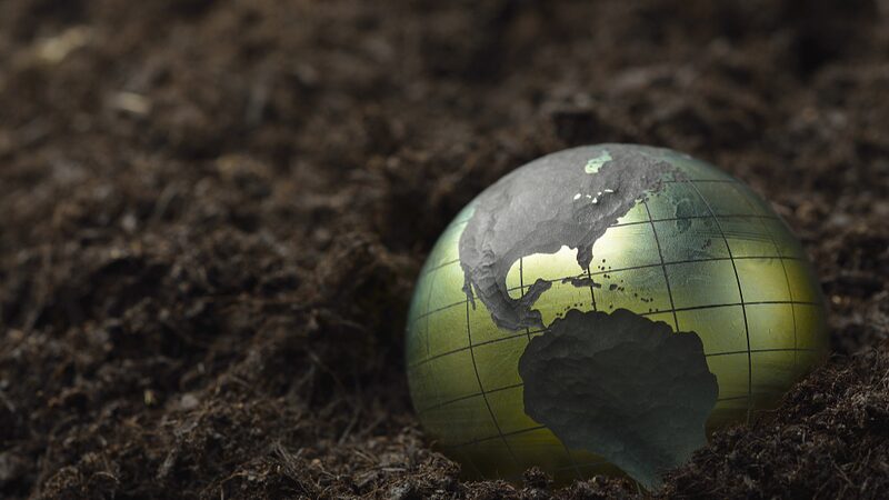 New Study Unveils Massive Global Store of Soil Inorganic Carbon