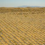 Ningxia_Pioneers_Innovative_Methods_to_Combat_Desertification_in_China