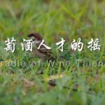 Ningxia University: Cultivating China's Next Generation of Wine Masters video poster