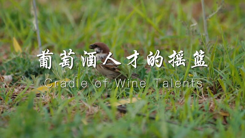 Ningxia_University_Cultivating_Chinas_Next_Generation_of_Wine_Masters_poster - Khabar Asia Ningxia University: Cultivating China's Next Generation of Wine Masters video poster