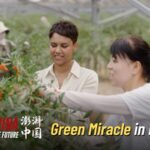 Ningxia_s_Solar_Revolution__China_s_Race_Towards_a_Green_Future video poster