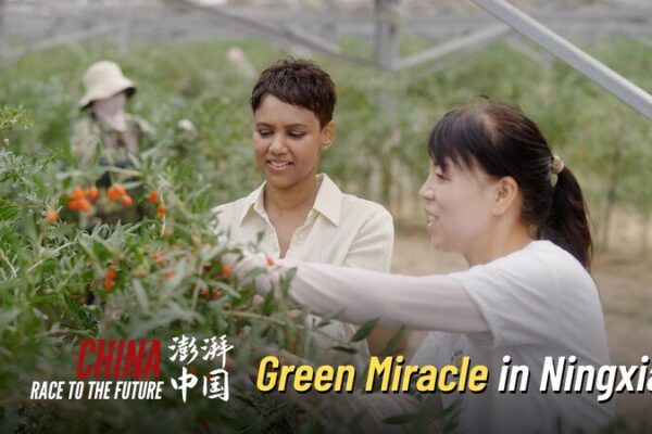 Ningxia’s Solar Revolution: China’s Race Towards a Green Future Ningxia_s_Solar_Revolution__China_s_Race_Towards_a_Green_Future video poster