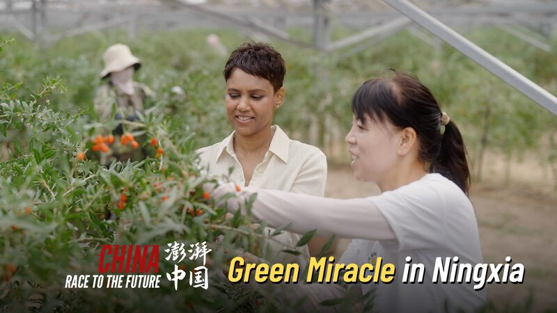 Ningxia_s_Solar_Revolution__China_s_Race_Towards_a_Green_Future_poster - Khabar Asia Ningxia_s_Solar_Revolution__China_s_Race_Towards_a_Green_Future video poster