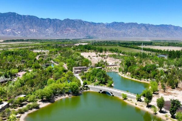 Ningxia's Ecological Success: Water Conservation and Desertification Control Advances video poster