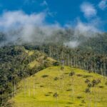 Norway_Allocates__20_Million_to_Support_Colombia_s_Fight_Against_Deforestation